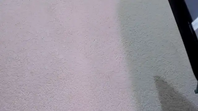 ebonycamelia online show from November 22, 2025, 11:47 pm