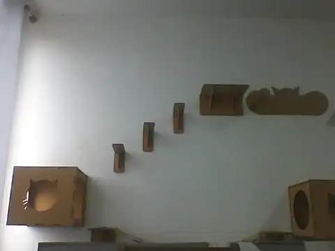 Snapshot of Temp7 chatting on February 23, 2026, 6:08 pm Temp7 online show from February 23, 2026, 6:08 pm