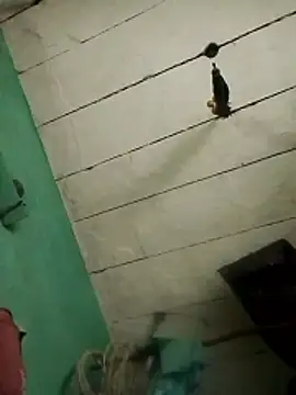 Snapshot of Xxx_suhana chatting on February 7, 2026, 11:07 am Xxx suhana online show from February 7, 2026, 11:07 am