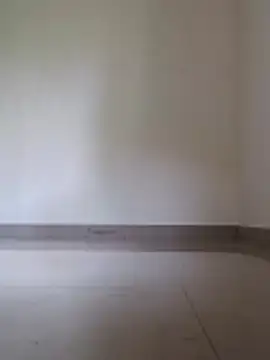 Meow buggie online show from December 18, 2025, 10:19 am