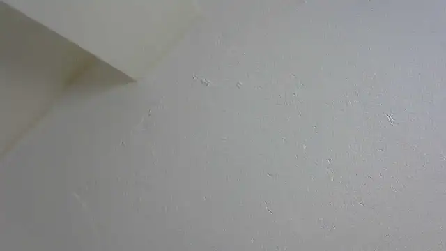 Speedo1988 online show from January 17, 2026, 7:17 pm