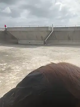 Xiaomili8 online show from December 20, 2025, 4:15 am