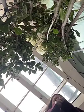 KateBurlesk online show from February 1, 2026, 9:07 am