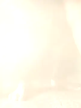 TeluguBoyforyou1 online show from December 5, 2025, 3:27 am