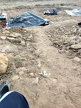 desi alpha boy online show from January 18, 2026, 11:35 am