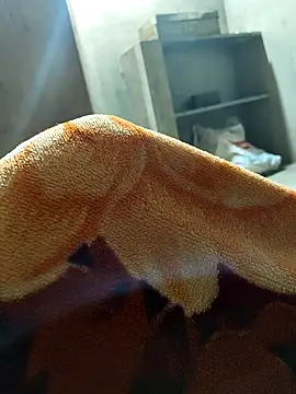 desi alpha boy online show from January 16, 2026, 1:59 pm