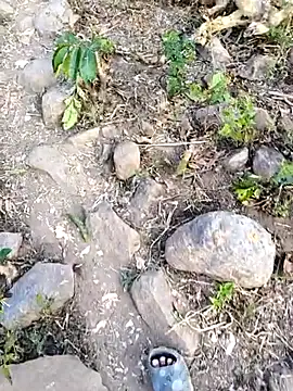 desi alpha boy online show from February 3, 2026, 1:49 am