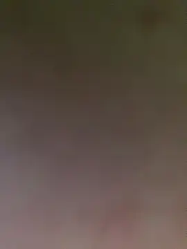 Snapshot of MelissaGill_ chatting on December 16, 2025, 10:19 am MelissaGill online show from December 16, 2025, 10:19 am