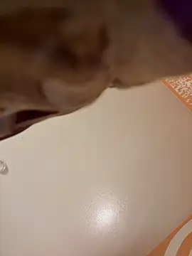 25clouds online show from April 22, 2026, 1:01 am