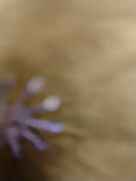 RASHMI SHARMA9 online show from February 16, 2026, 4:00 am