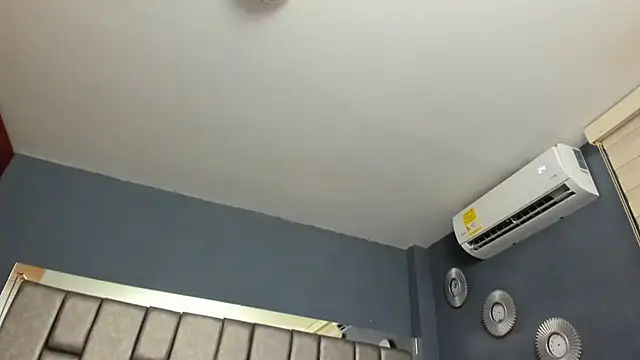 IsaSantoDomingo online show from December 13, 2025, 11:55 pm