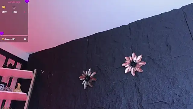 Paulo 527 online show from January 6, 2026, 9:30 pm