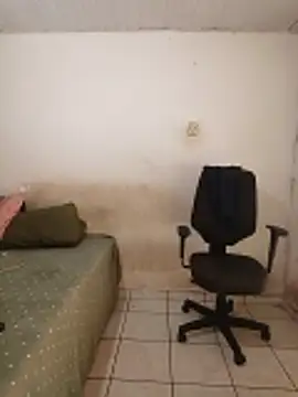 theyllorwillian online show from February 20, 2026, 1:13 pm