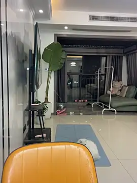 DMG-41 online show from December 2, 2025, 12:29 pm