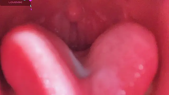 Snapshot of LT-333 chatting on February 25, 2026, 5:13 pm LT-333 online show from February 25, 2026, 5:13 pm