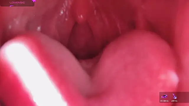 Snapshot of LT-333 chatting on February 13, 2026, 6:02 am LT-333 online show from February 13, 2026, 6:02 am