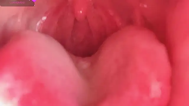 Snapshot of LT-333 chatting on February 10, 2026, 4:39 pm LT-333 online show from February 10, 2026, 4:39 pm