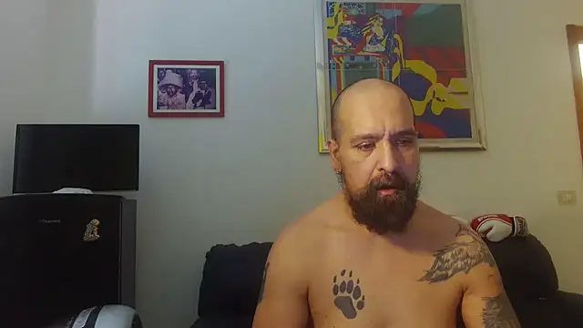 AMIRDIB2025 online show from June 17, 2026, 10:47 am