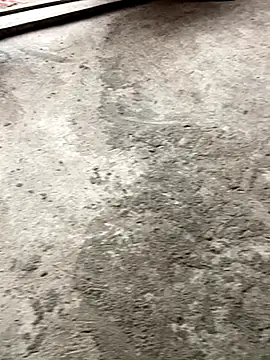 Lilik2 online show from December 20, 2025, 9:34 am