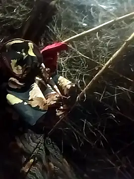 Karisma ji online show from January 19, 2026, 2:43 pm