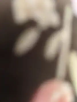 Miky Lyn online show from January 13, 2026, 8:07 am