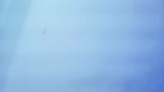 Nicole sounders online show from January 19, 2026, 11:25 am