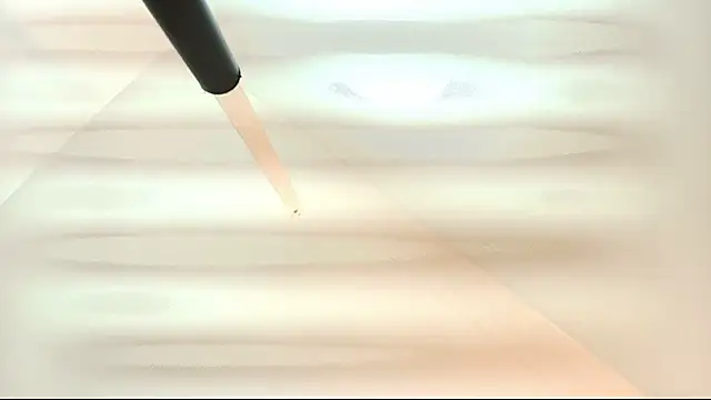 tamara walter online show from March 5, 2026, 1:40 pm