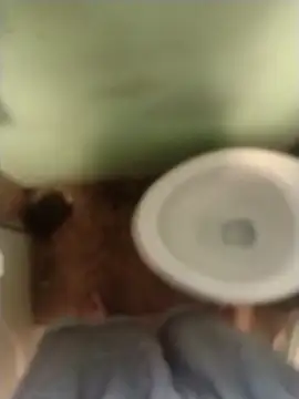 Snapshot of bigjohnson2914 chatting on March 13, 2026, 1:05 pm bigjohnson2914 online show from March 13, 2026, 1:05 pm