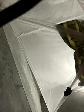 Wendy-babyy online show from December 16, 2025, 4:44 pm