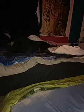 MelissaSchneider online show from February 8, 2026, 6:38 pm