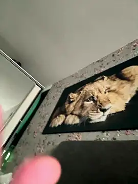 Alexmarcov online show from January 18, 2026, 10:18 am