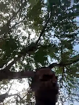 Snapshot of Andreskelly chatting on March 17, 2026, 3:15 pm Andreskelly online show from March 17, 2026, 3:15 pm