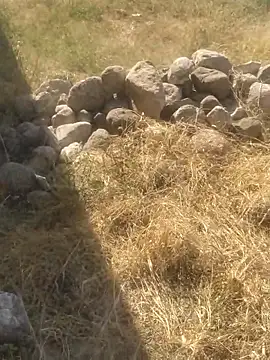 Snapshot of DanielGr27 chatting on December 20, 2025, 7:06 pm DanielGr27 online show from December 20, 2025, 7:06 pm