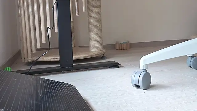 Feetbeth online show from February 6, 2026, 7:21 pm