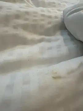 butterflyslay online show from June 10, 2026, 5:41 am