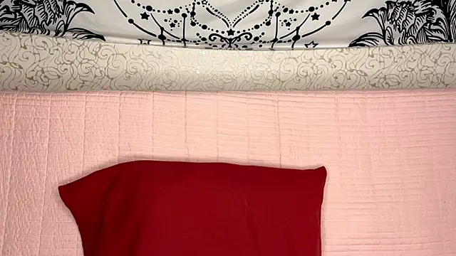 Snapshot of Shining_Robi chatting on February 19, 2026, 12:46 pm Shining Robi online show from February 19, 2026, 12:46 pm