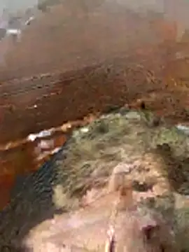 Snapshot of katiyvy chatting on February 16, 2026, 7:12 pm katiyvy online show from February 16, 2026, 7:12 pm