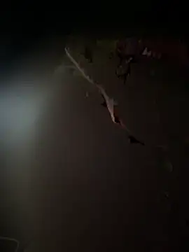 Snapshot of Themoroccandevil chatting on March 9, 2026, 6:17 am Themoroccandevil online show from March 9, 2026, 6:17 am