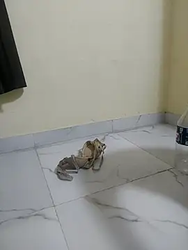 sexy shital online show from July 2, 2026, 2:01 am