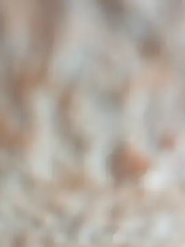 layanehot online show from December 19, 2025, 9:44 am