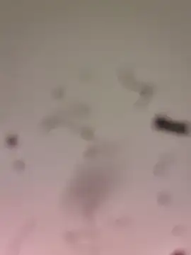 M8ygcthf3 online show from March 22, 2026, 6:48 am