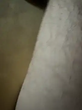 Lilalache online show from December 14, 2025, 1:28 pm