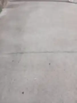 SnappedHagfish online show from June 17, 2026, 5:23 pm