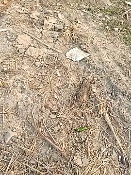 sexloverg7 online show from December 15, 2025, 10:43 am