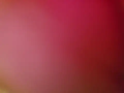 sweets danshi online show from June 25, 2026, 11:04 am