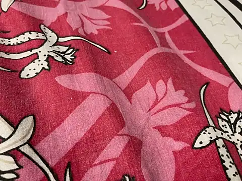 delhi real bull online show from December 17, 2025, 4:23 pm