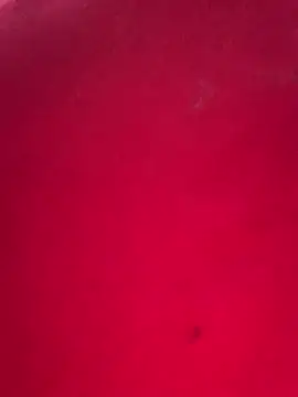 missmisha01 online show from February 17, 2026, 2:31 am