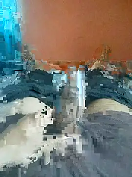 jhonysinc21 online show from May 1, 2026, 10:20 am
