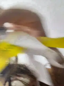 jinx candy online show from February 1, 2026, 4:33 am