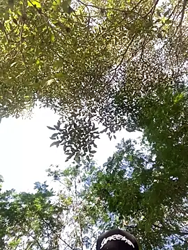 Maicol xxxx online show from March 14, 2026, 9:43 pm